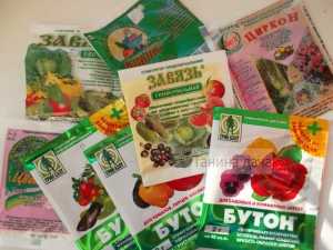 Укроп. Чем и когда удобрять